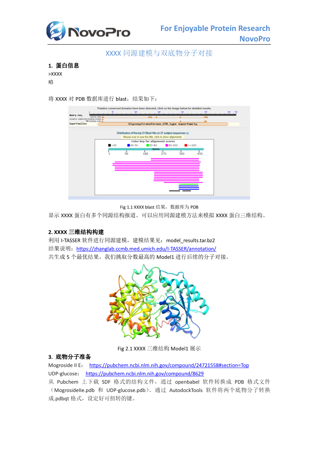 For Enjoyable Protein Research Novopro XXXX 同源建模与双底物分子对接 1