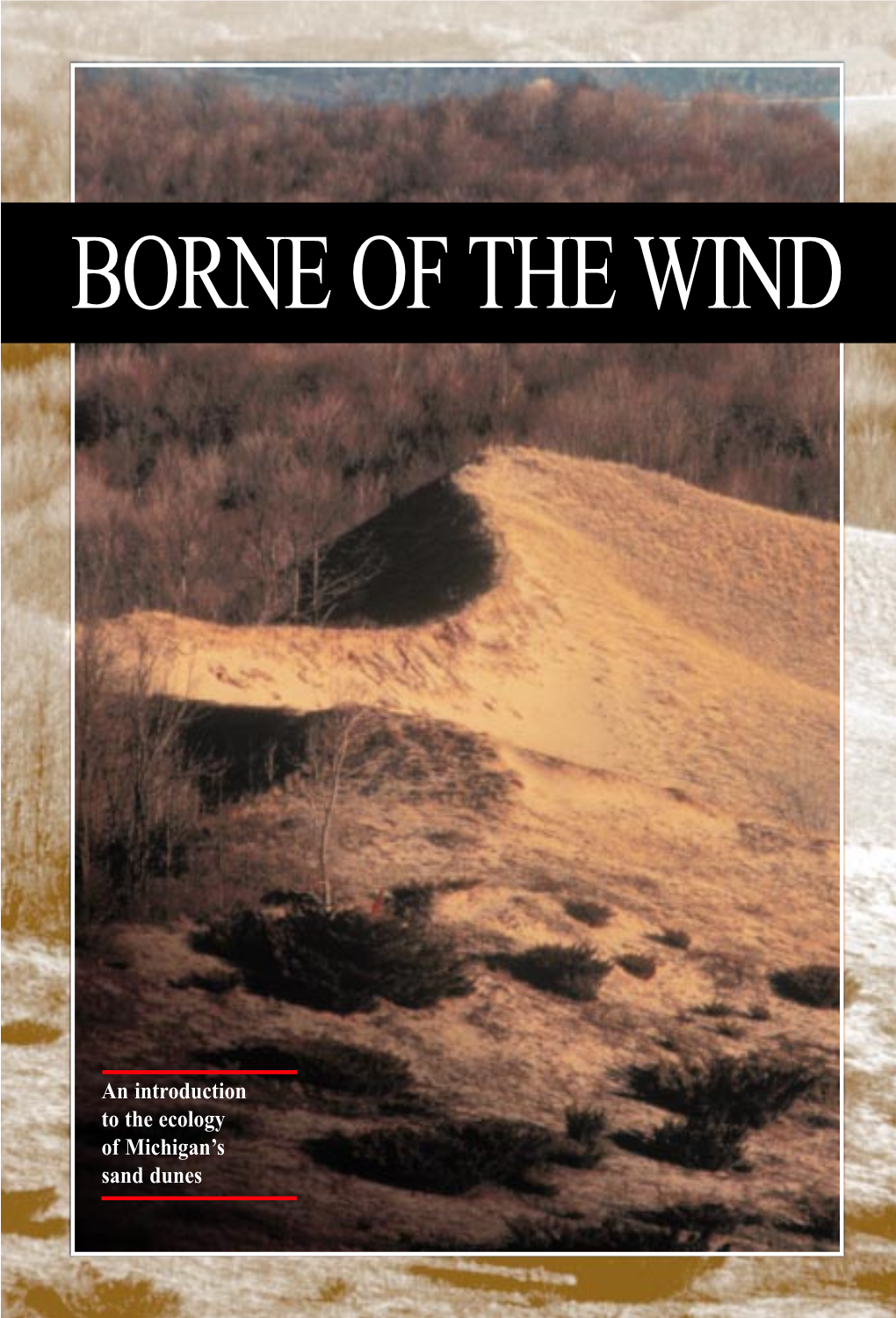 Borne of the Wind