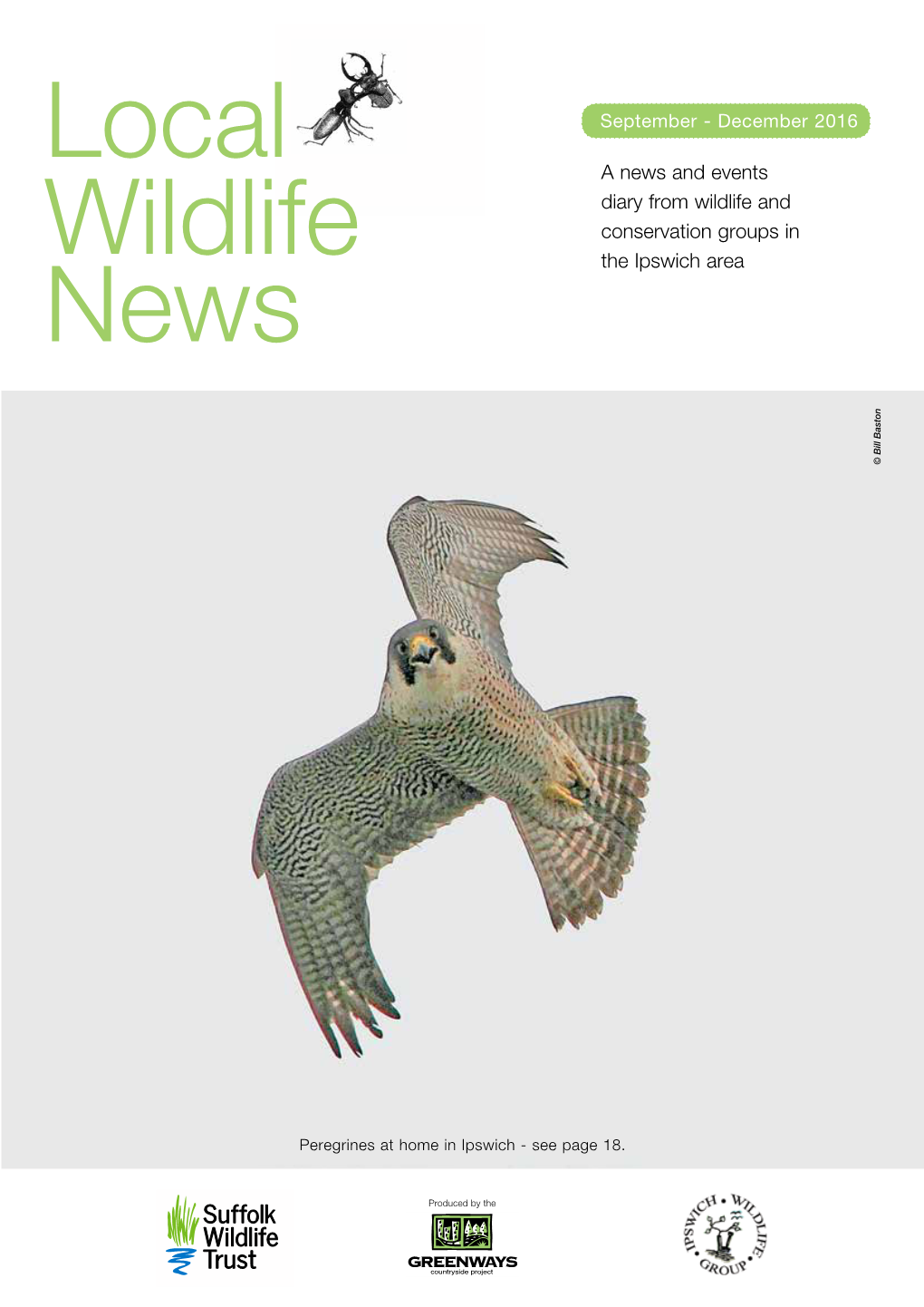 Local Wildlife News Snippets