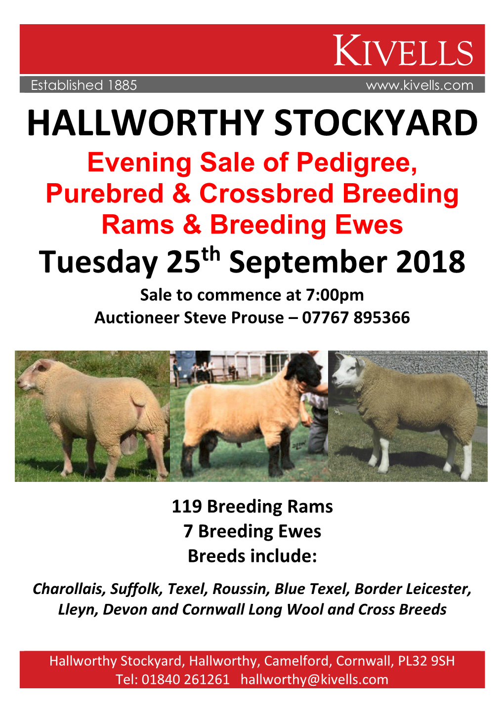 HALLWORTHY STOCKYARD Evening Sale of Pedigree, Purebred & Crossbred Breeding Rams & Breeding Ewes Tuesday 25Th September 2018
