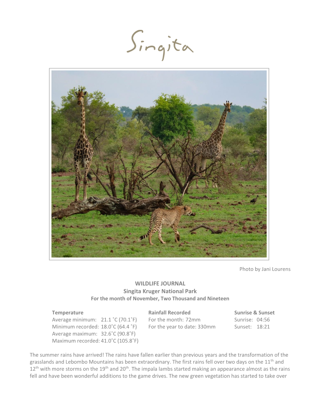 WILDLIFE JOURNAL Singita Kruger National Park for the Month of November, Two Thousand and Nineteen