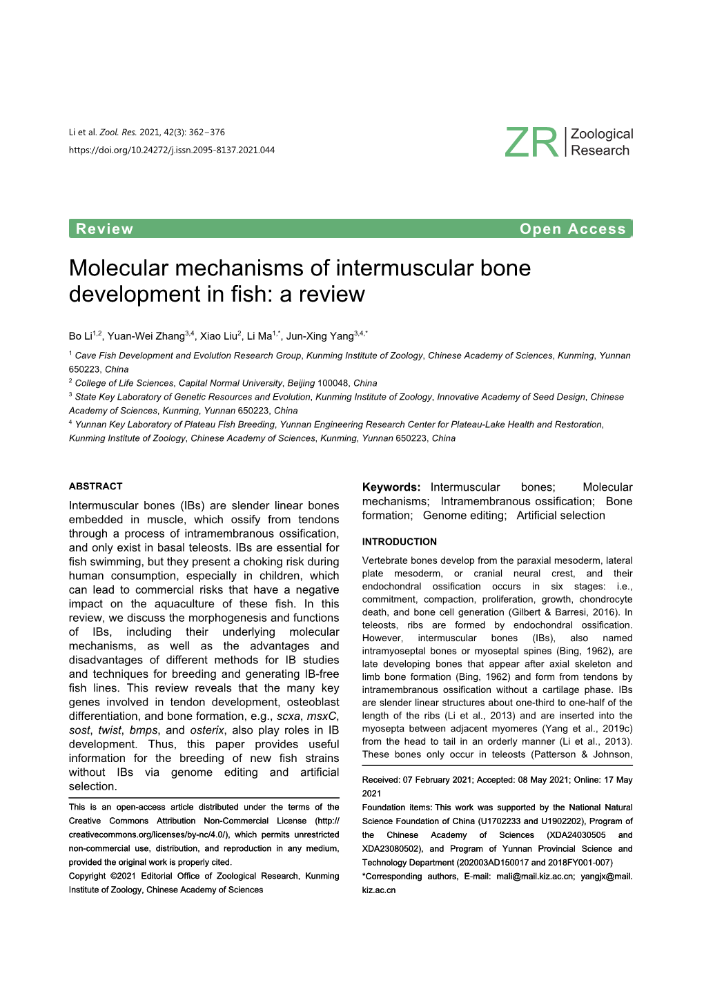 Molecular Mechanisms of Intermuscular Bone Development in Fish: a Review