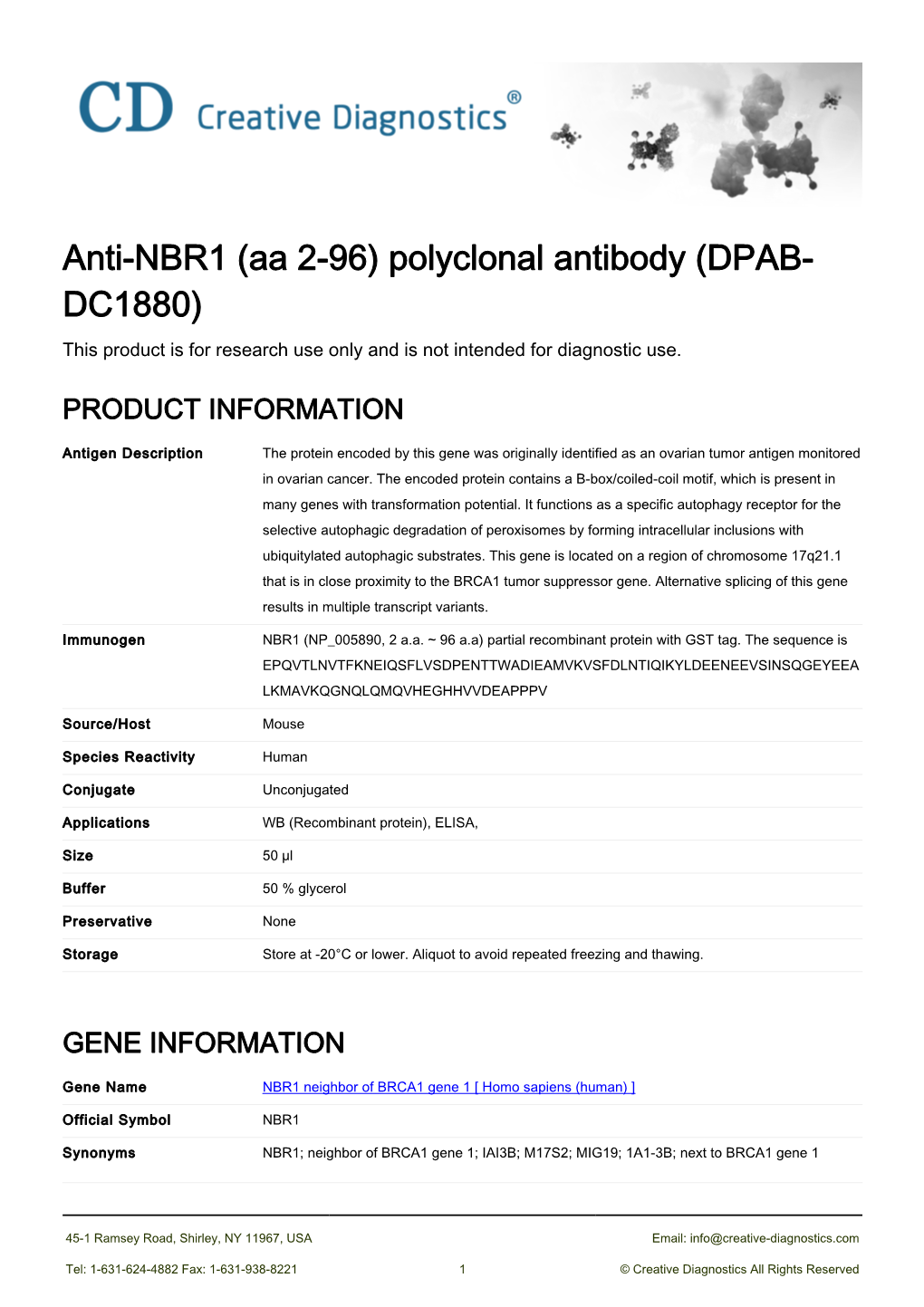 Anti-NBR1 (Aa 2-96) Polyclonal Antibody (DPAB- DC1880) This Product Is for Research Use Only and Is Not Intended for Diagnostic Use