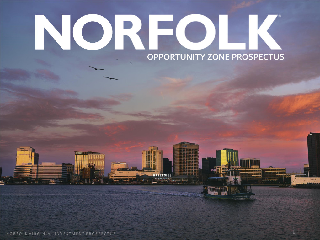 Opportunity Zone Prospectus