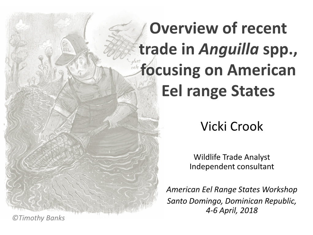 Overview of Recent Trade in Anguilla Spp., Focusing on American Eel Range States