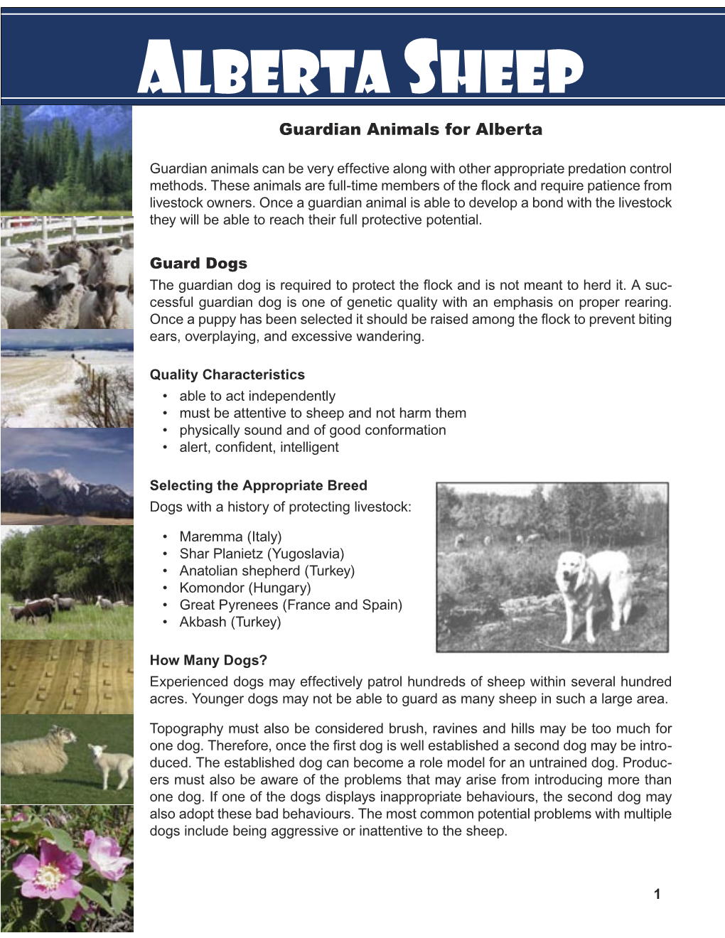 Guardian Animals for Alberta