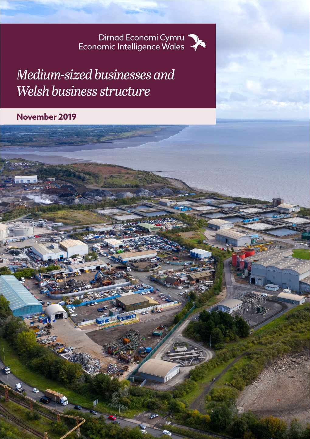 Medium-Sized Businesses and Welsh Business Structure
