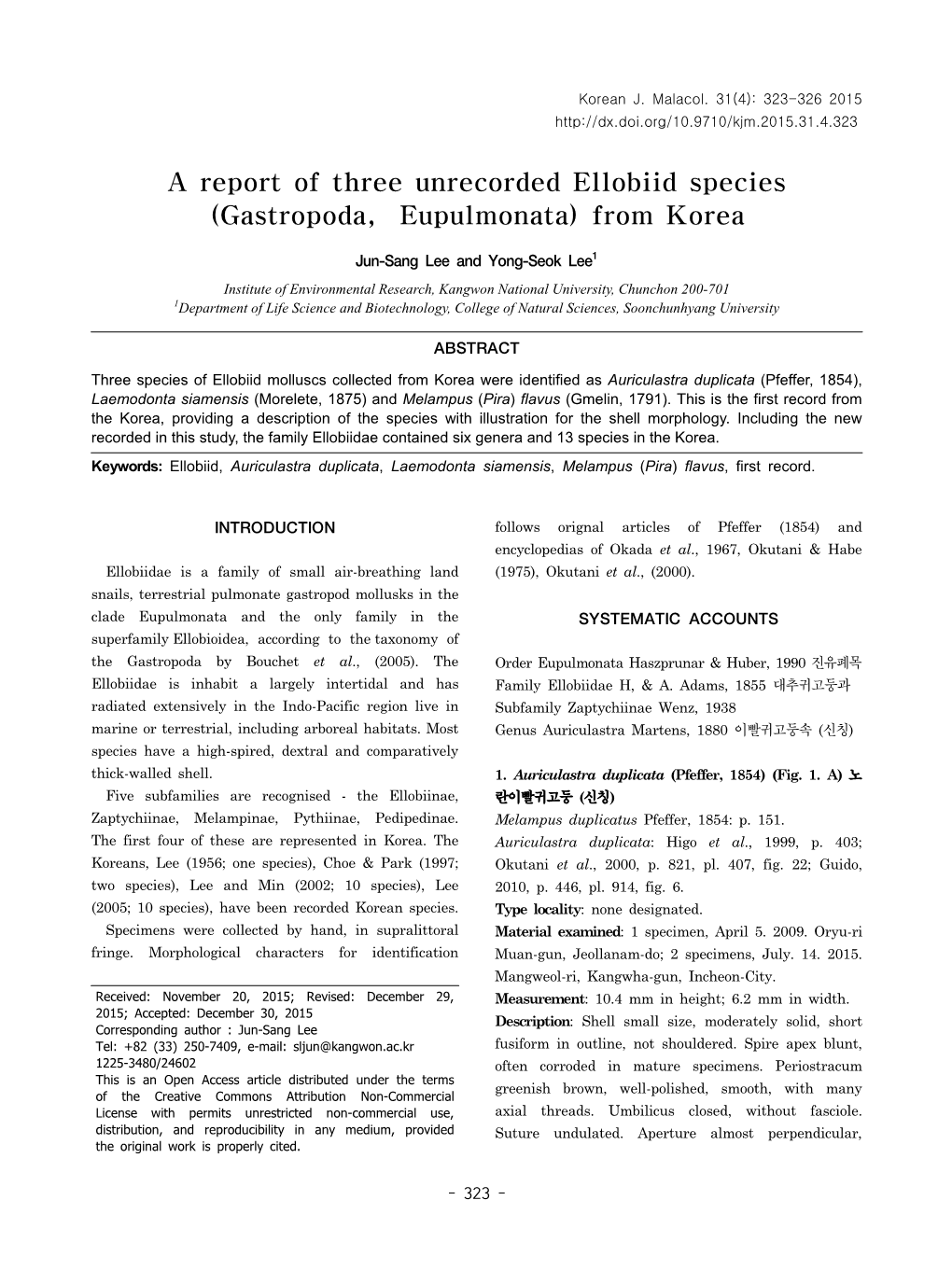 A Report of Three Unrecorded Ellobiid Species (Gastropoda, Eupulmonata) from Korea