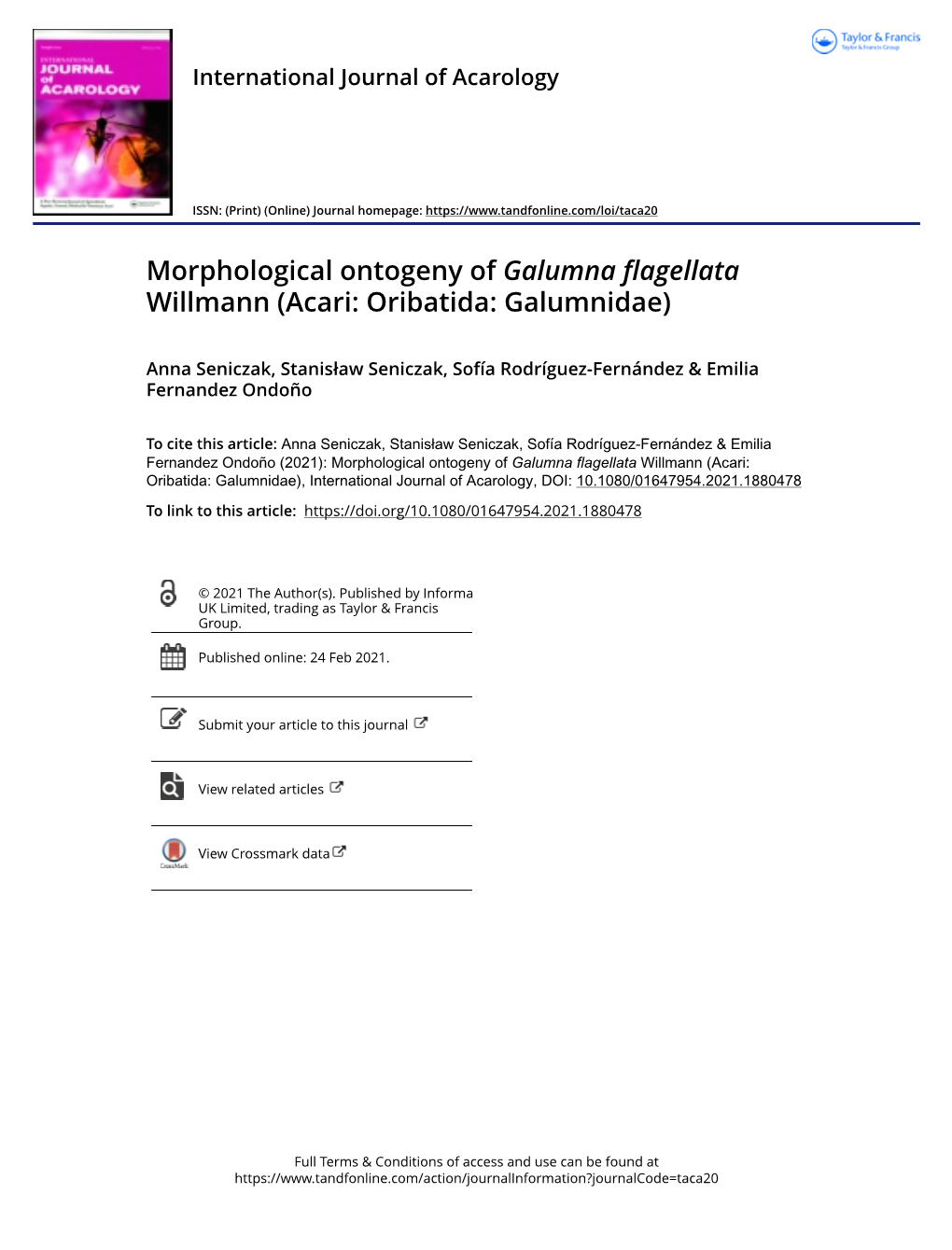 Morphological Ontogeny of Galumna Flagellata Willmann (Acari: Oribatida: Galumnidae)