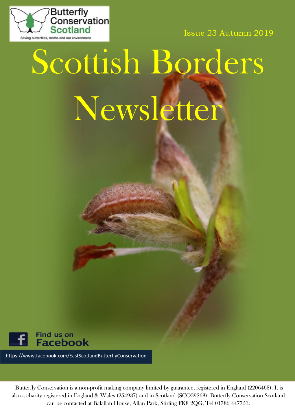 Scottish Borders Newsletter