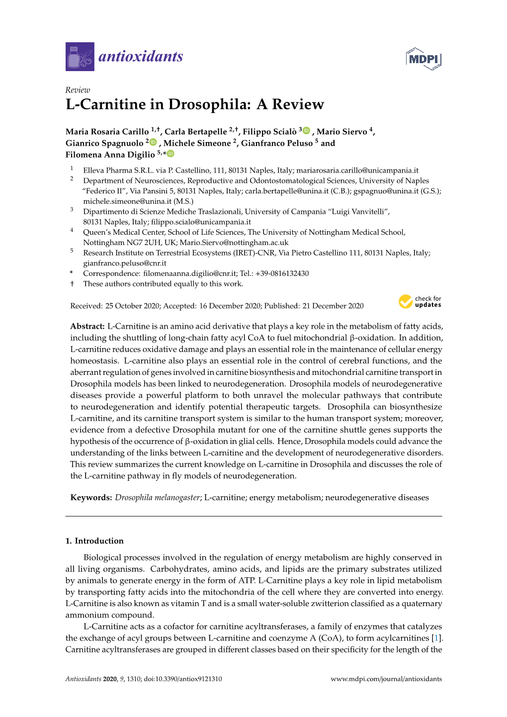 L-Carnitine in Drosophila: a Review