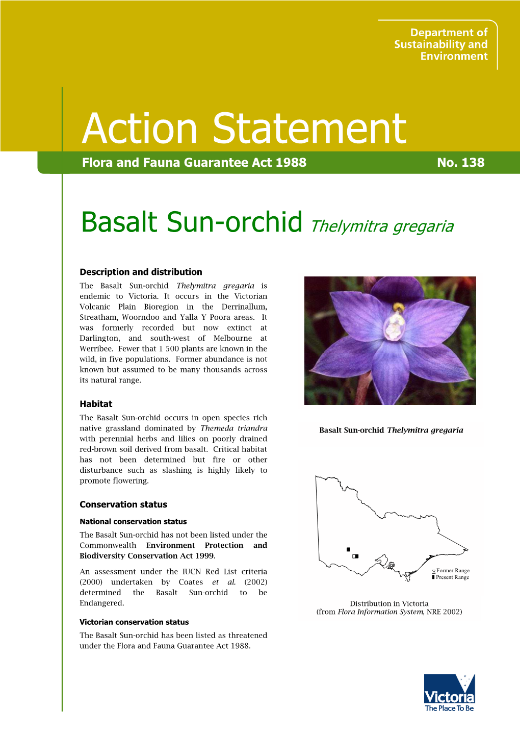Basalt Sun-Orchid (Thelymitra Gregaria)