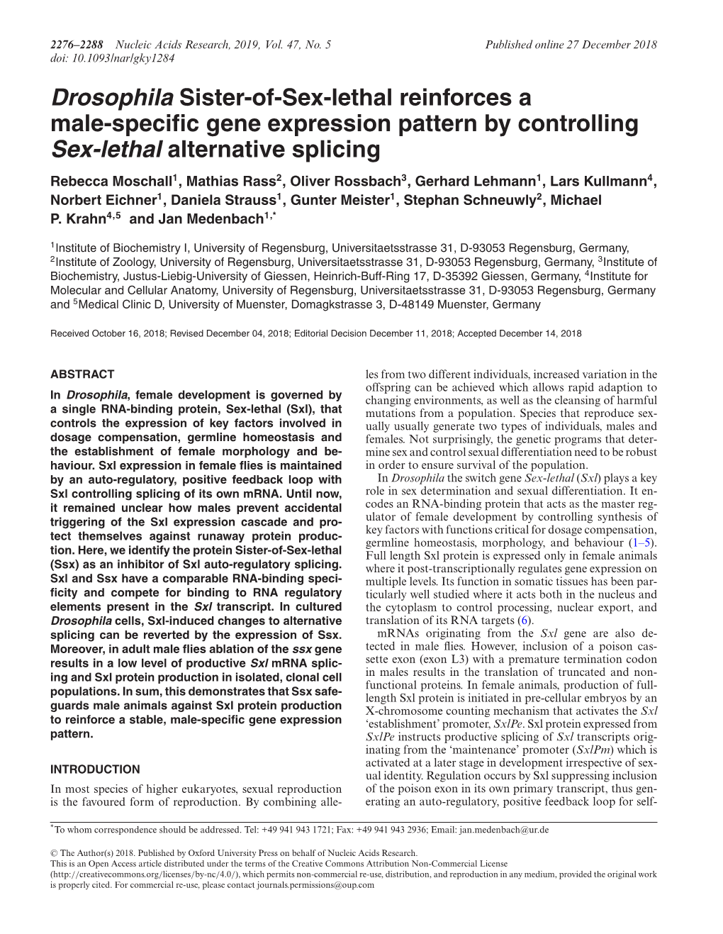 Male-Specific Gene Expression Pattern by Controlling