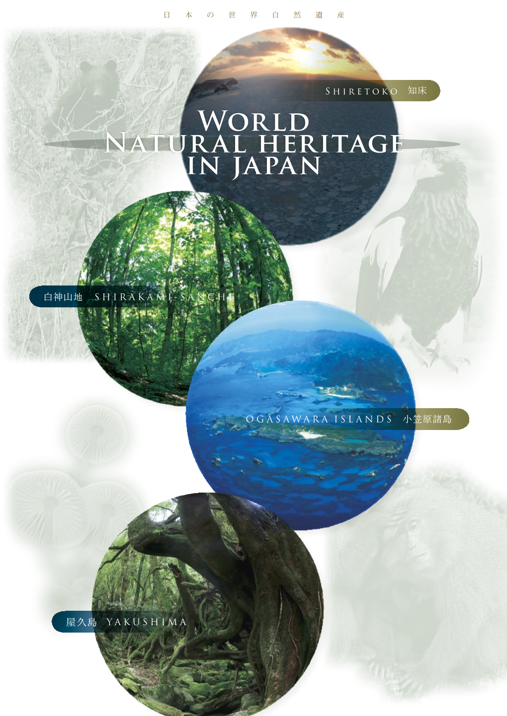 World Natural Heritage in Japan