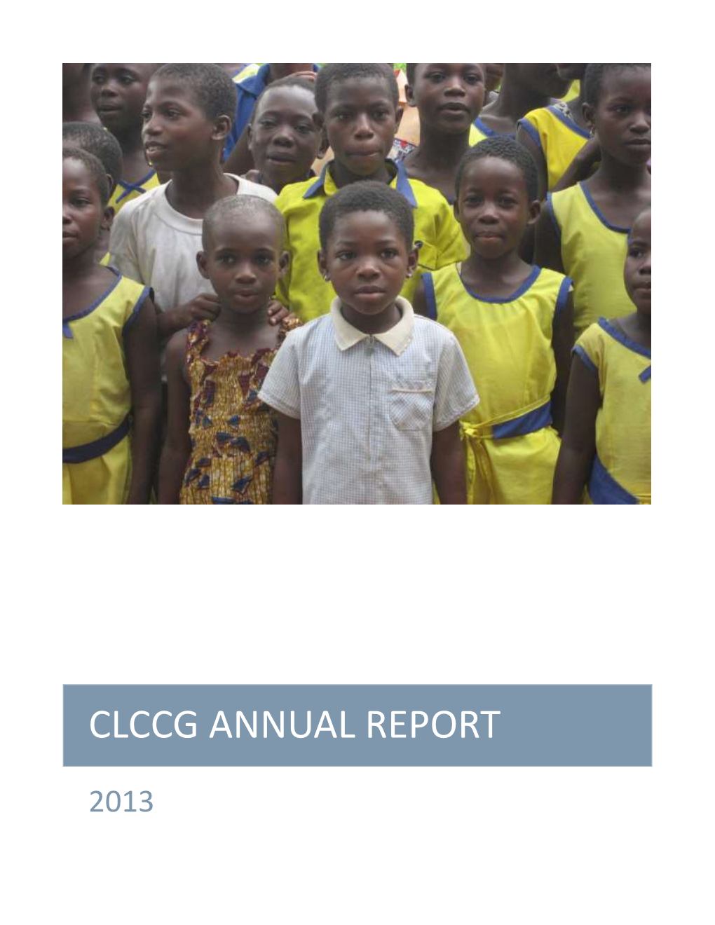 Clccg Annual Report