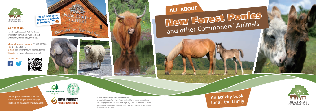 New Forest Ponies Activity Book