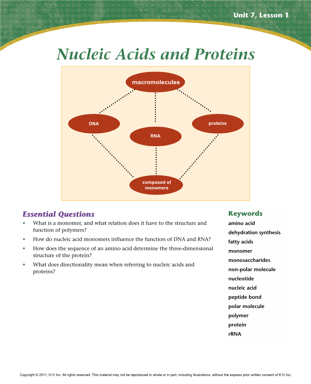 Nucleic Acids and Proteins