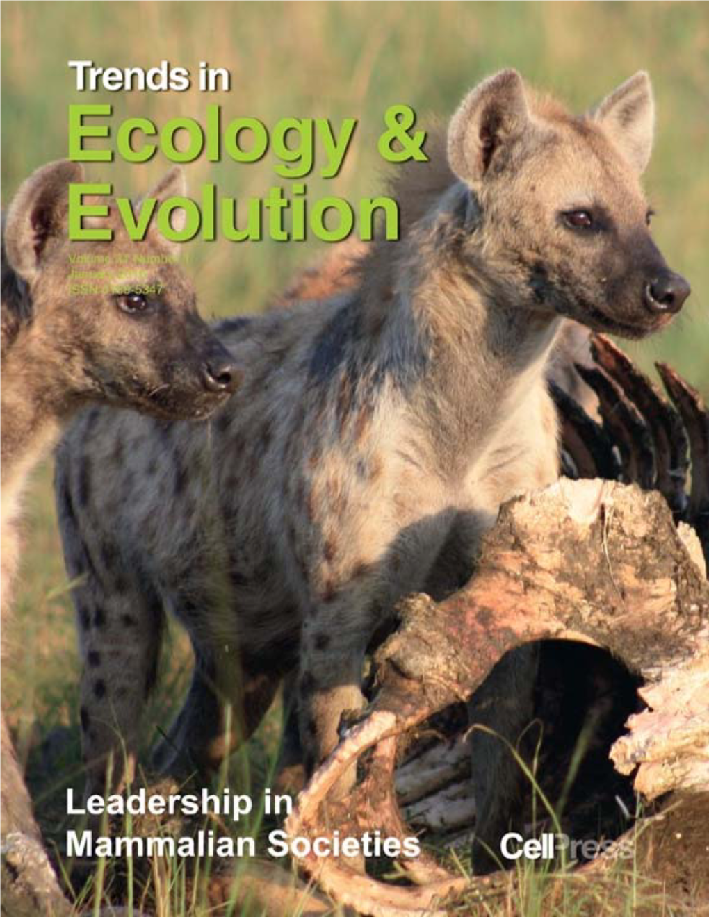 Leadership in Mammalian Societies