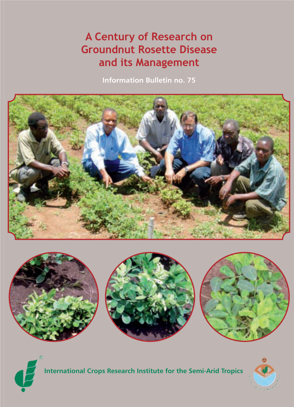 A Century of Research on Groundnut Rosette Disease and Its Management