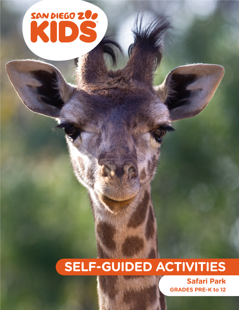 Self-Guided Safari Park Activities Curriculum