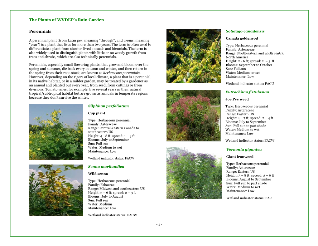 The Plants of WVDEP's Rain Garden Perennials