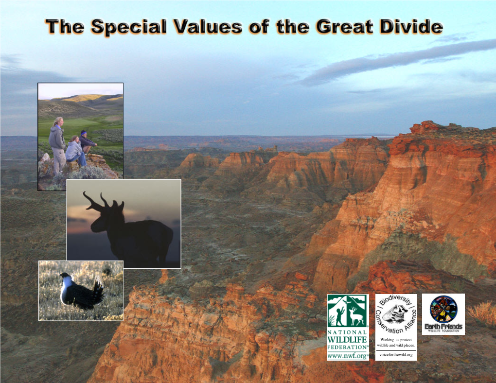 The Special Values of the Great Divide