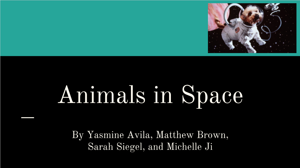 Animals in Space