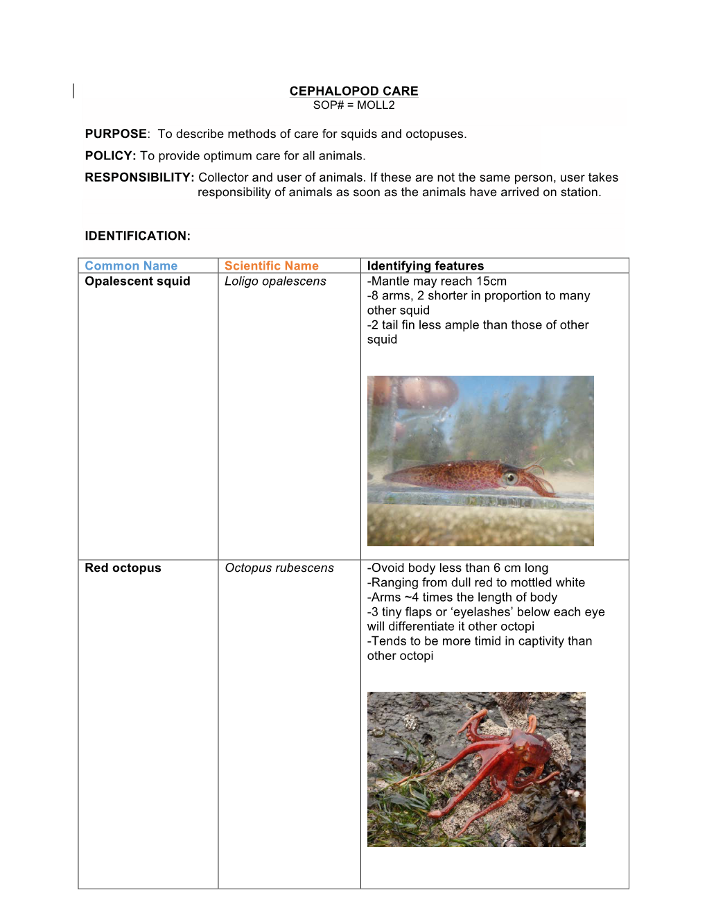 To Describe Methods of Care for Squids and Octopuses. POLICY: to Provide Optimum Care for All Animals