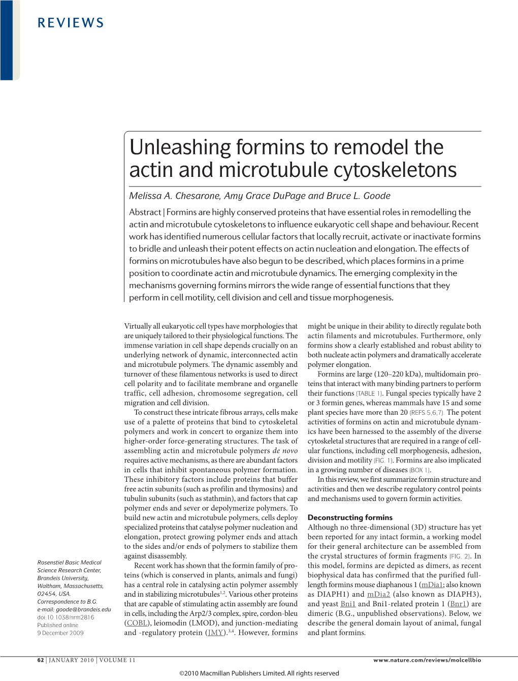 Unleashing Formins to Remodel the Actin and Microtubule Cytoskeletons