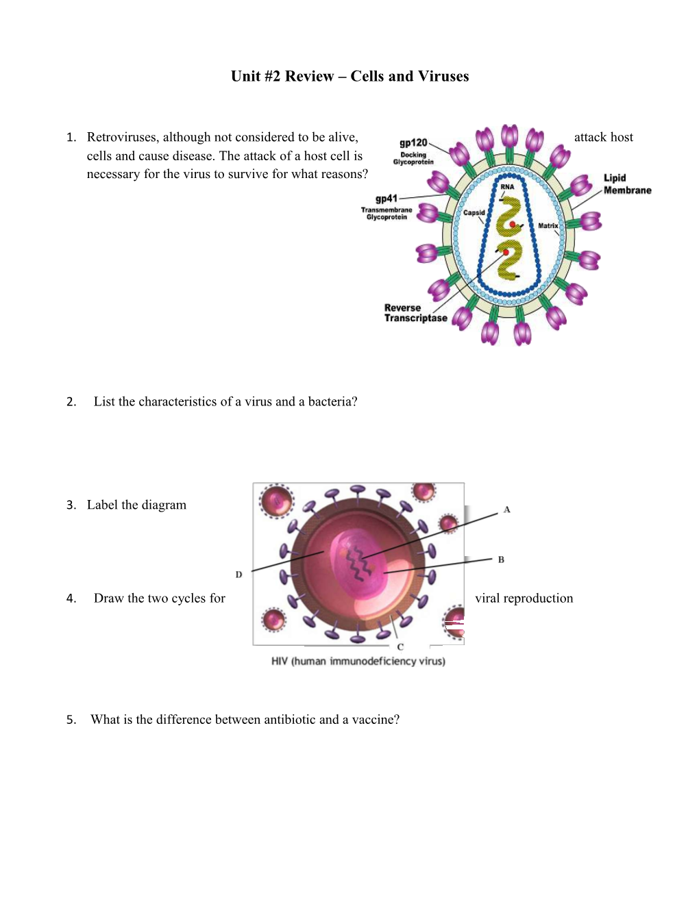 Unit #2 Review Cells and Viruses
