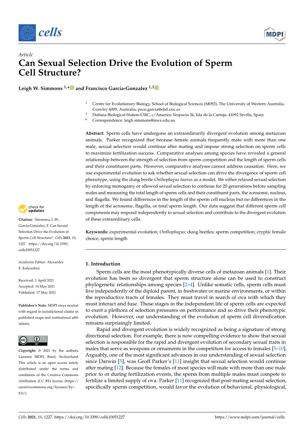 Can Sexual Selection Drive the Evolution of Sperm Cell Structure?