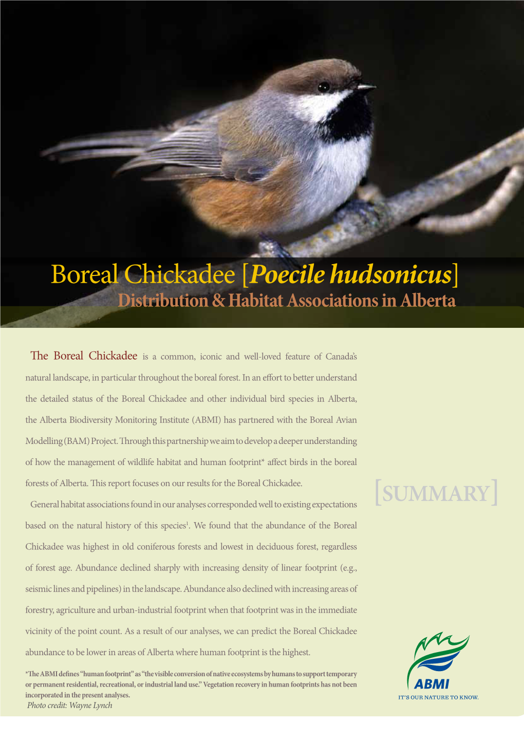 Boreal Chickadee [Poecile Hudsonicus] Distribution & Habitat Associations in Alberta