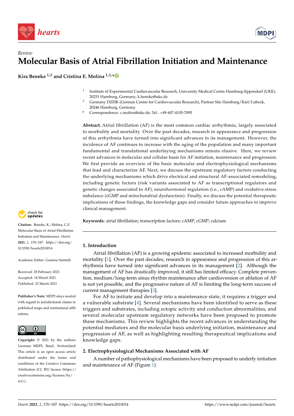 Molecular Basis of Atrial Fibrillation Initiation and Maintenance