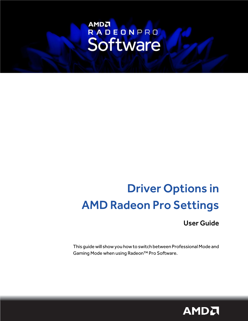 Driver Options in AMD Radeon Pro Settings