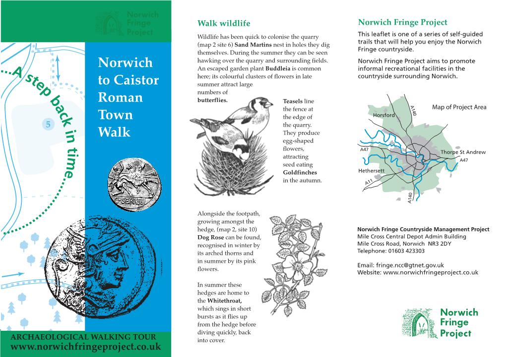 Norwich to Caistor Roman Town Walk