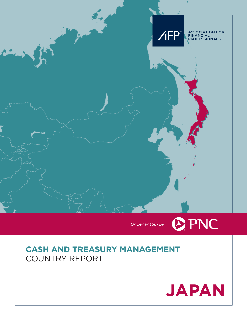 Cash and Treasury Management Country Report