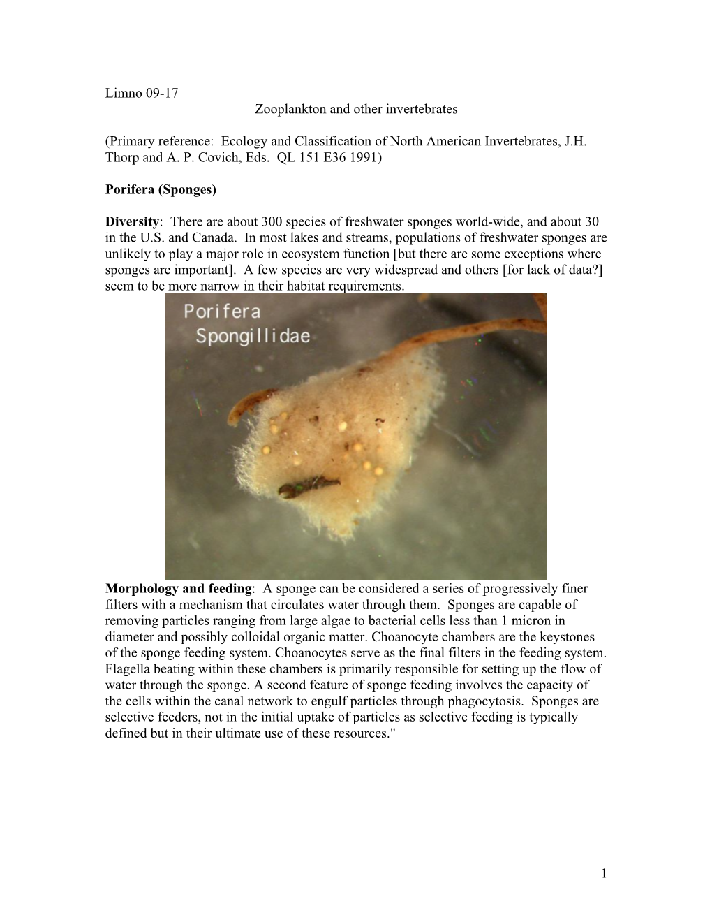 1 Limno 09-17 Zooplankton and Other Invertebrates