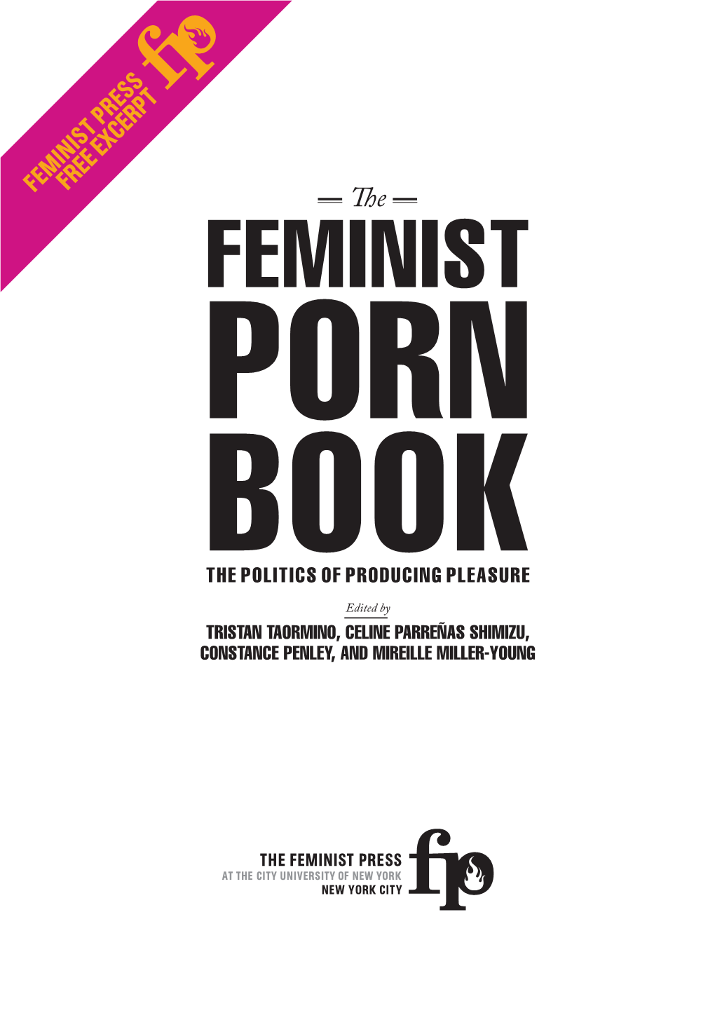 To Feminist Porn Book- the Politics of Producing Pleasure