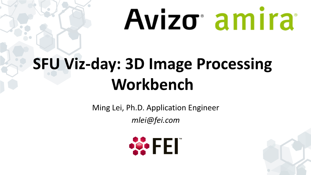 3D Image Processing Workbench Ming Lei, Ph.D