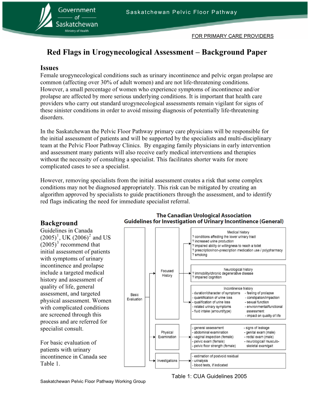 Red Flags in Urogynecological Assessment – Background Paper