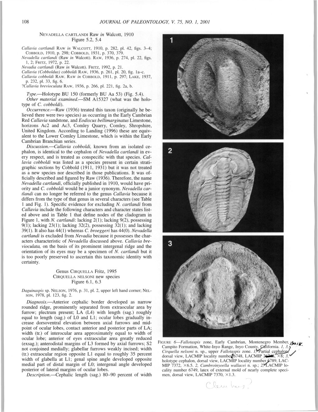 108 JOURNAL of PALEONTOLOGY, V. 75, NO. 1, 2001 Figure 5.2, 5.4