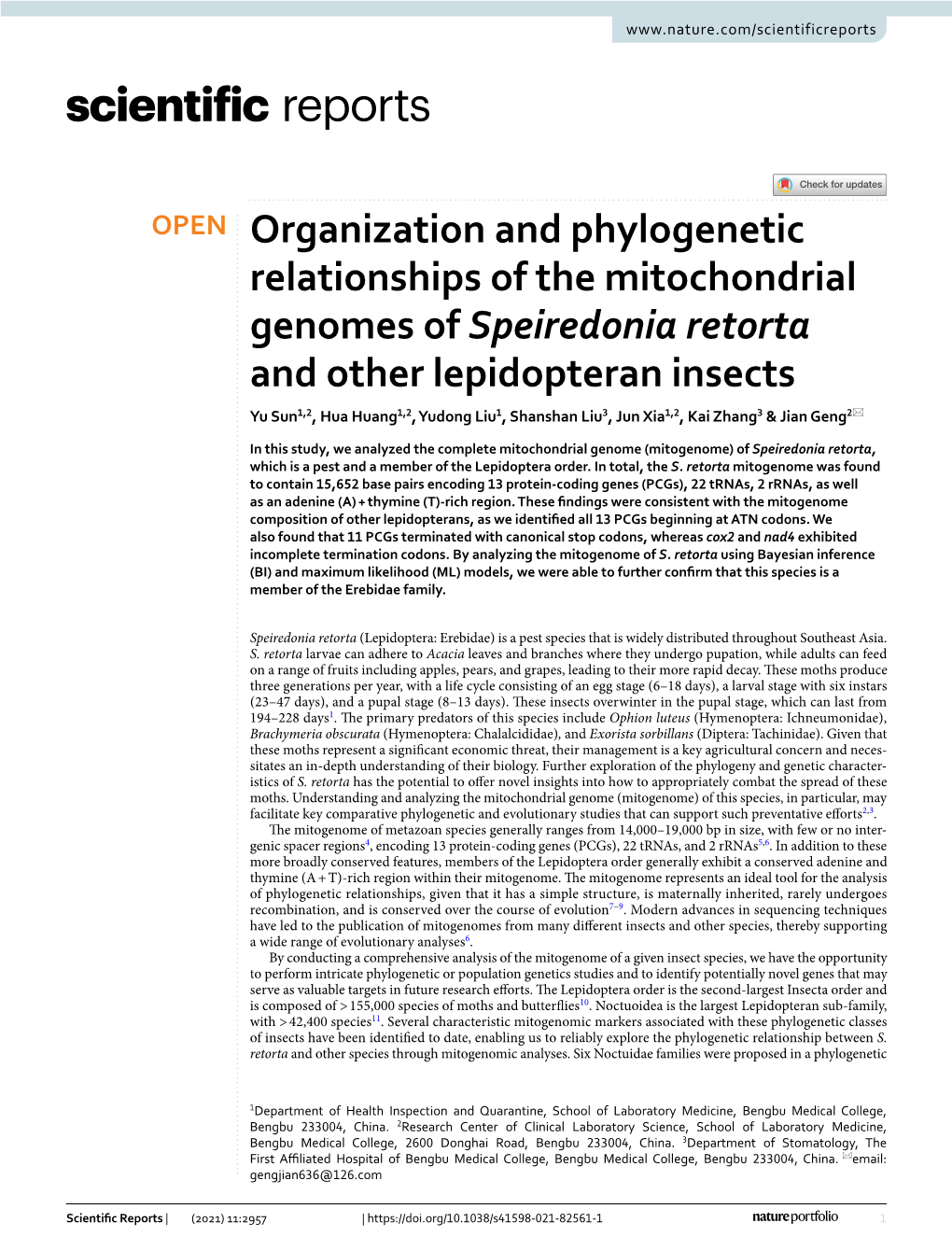 Organization and Phylogenetic Relationships of the Mitochondrial