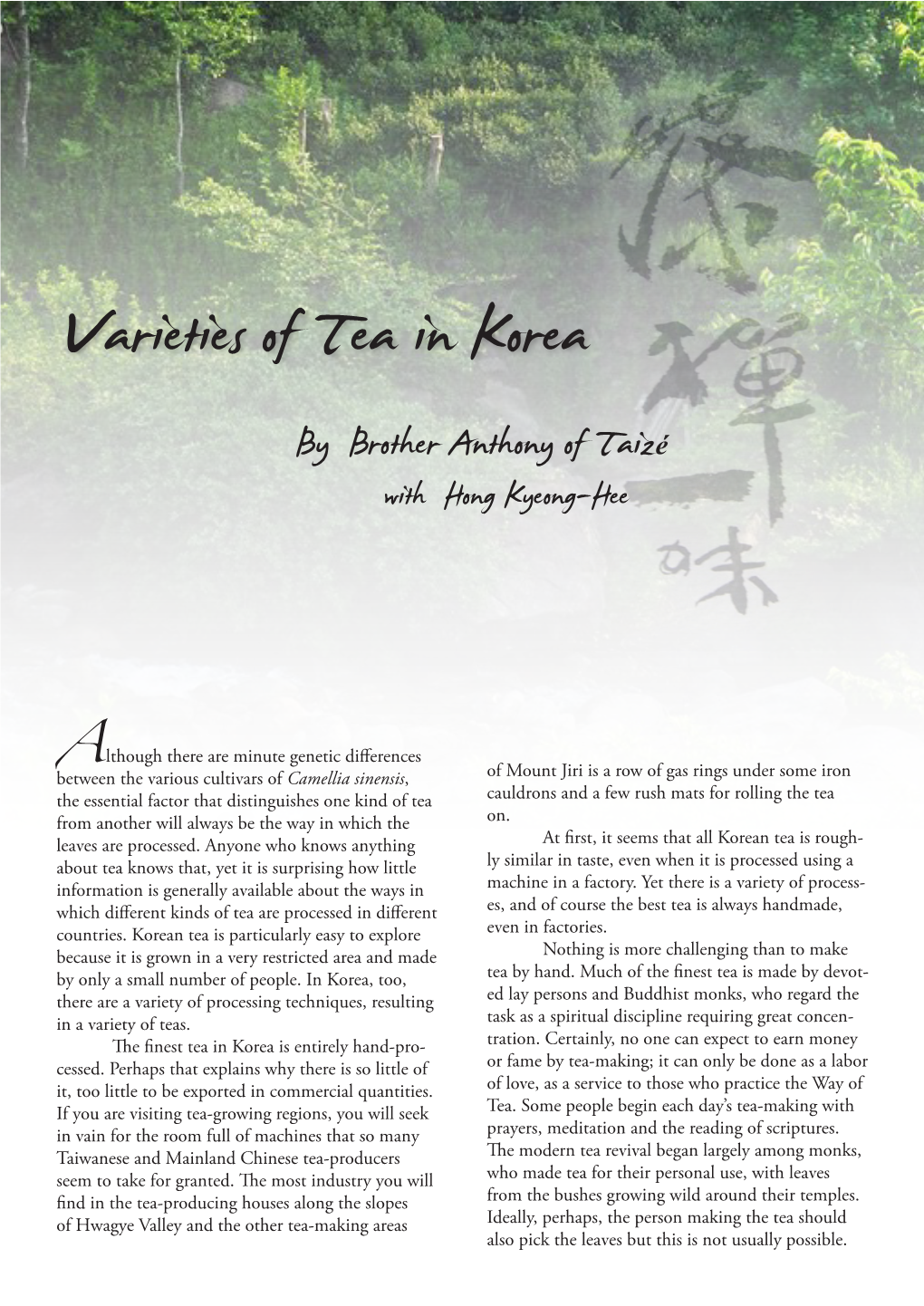 Varieties of Tea in Korea