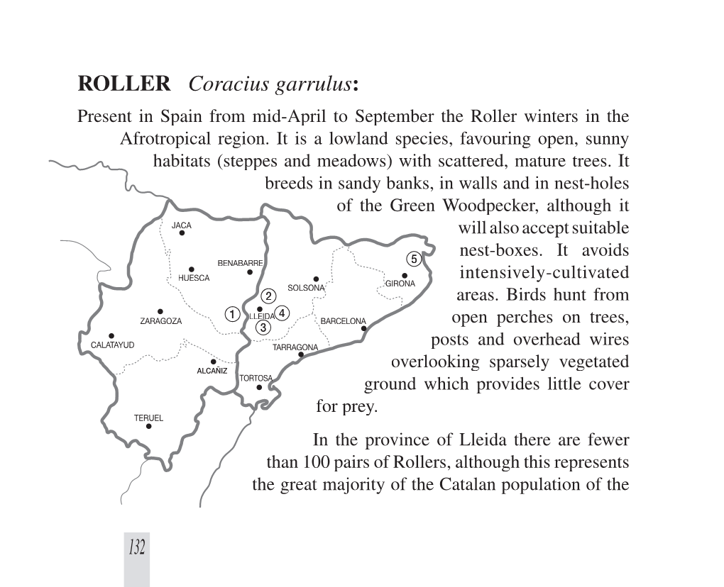 ROLLER Coracius Garrulus: Present in Spain from Mid-April to September the Roller Winters in the Afrotropical Region