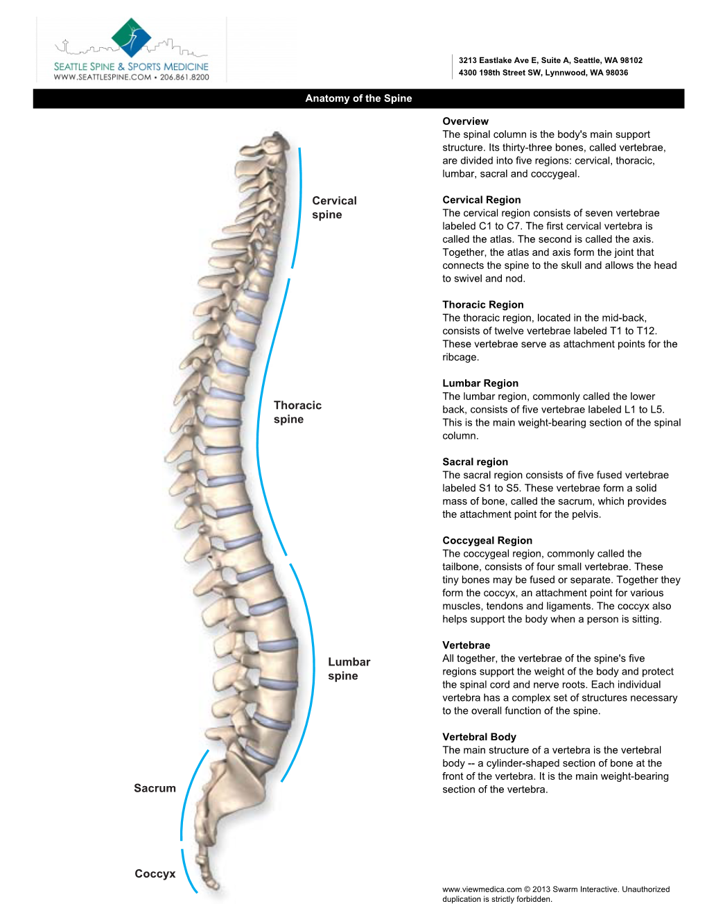 Cervical Spine Thoracic Spine Lumbar Spine Sacrum Coccyx