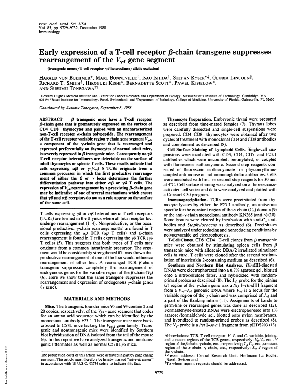 Early Expression of a T-Cell Receptor ,8-Chain Transgene Suppresses