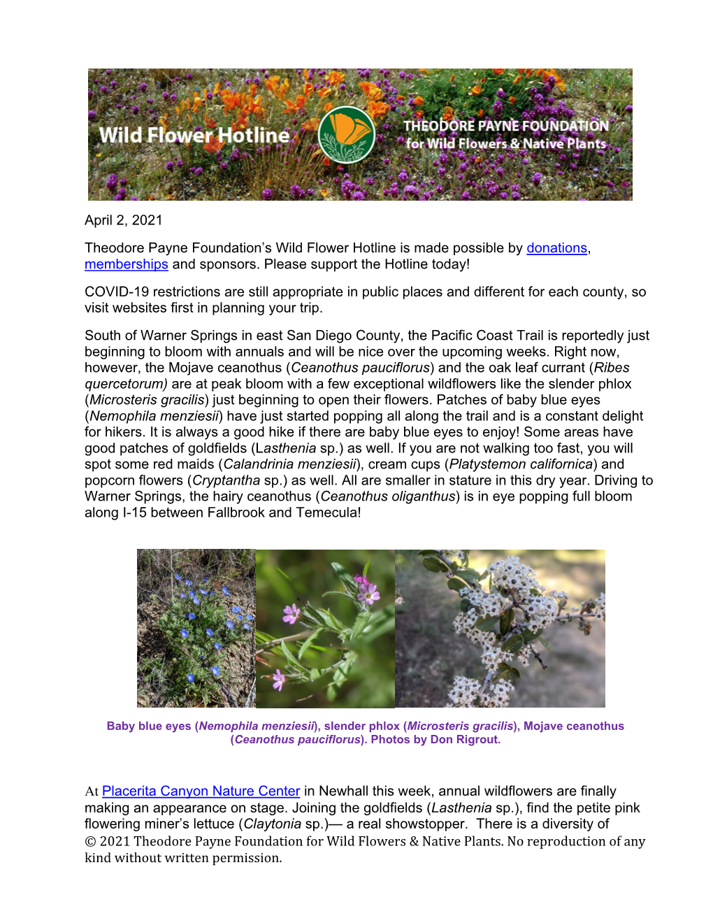 © 2021 Theodore Payne Foundation for Wild Flowers & Native Plants. No