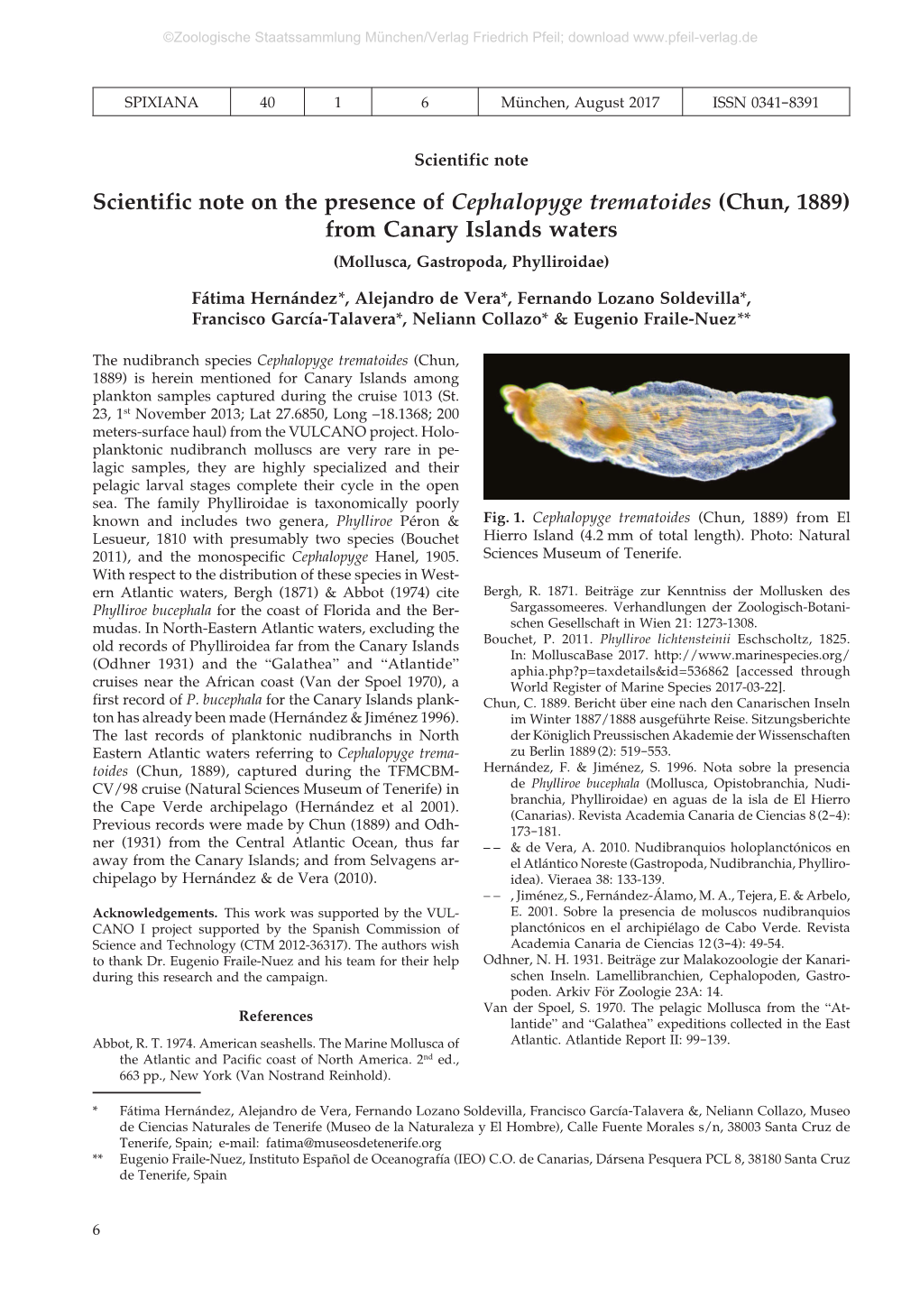 Scientific Note on the Presence of Cephalopyge Trematoides (Chun, 1889) from Canary Islands Waters (Mollusca, Gastropoda, Phylliroidae)