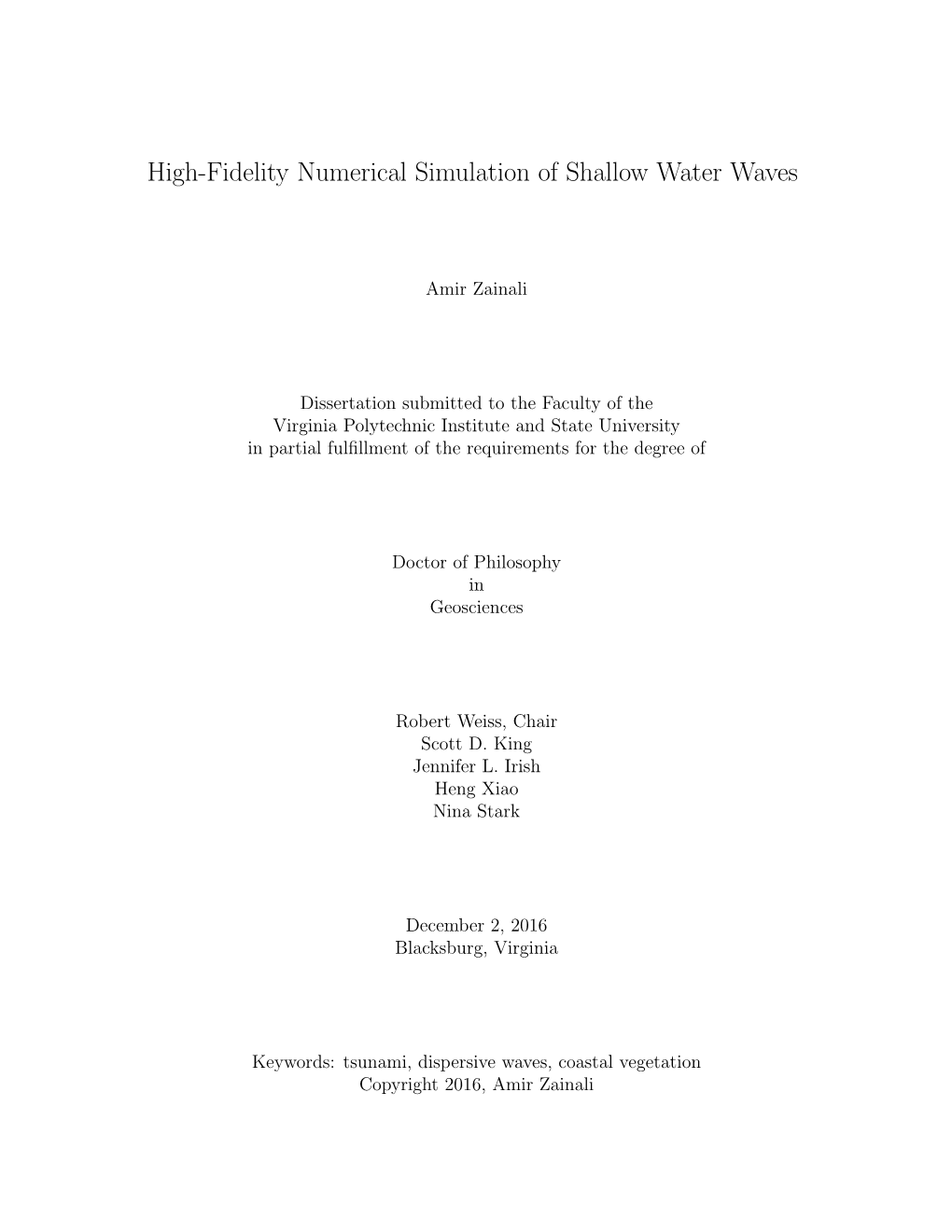 High-Fidelity Numerical Simulation of Shallow Water Waves