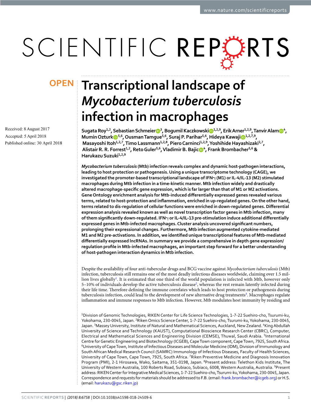 Transcriptional Landscape of Mycobacterium Tuberculosis